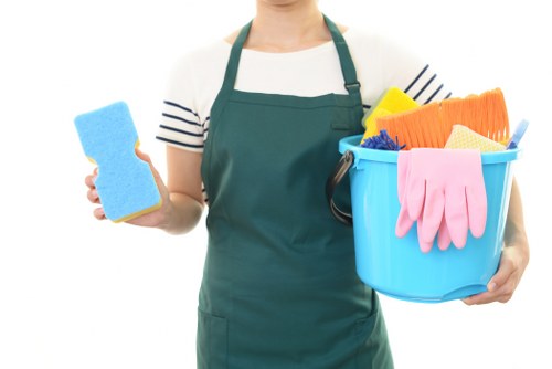 Local cleaner in SE23 serving flats and family homes