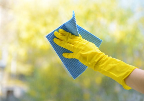 Professional carpet cleaning service for SE23 homes and flats
