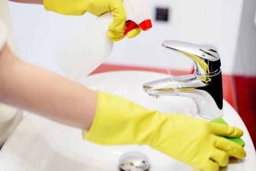 Professional domestic cleaning in SE23 for local households