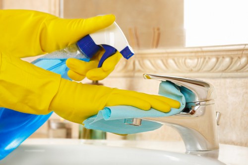 Local oven cleaner working on a built-in oven in Forest Hill SE23
