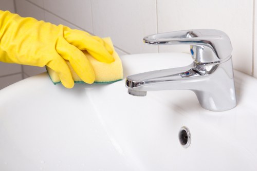 Professional domestic and deep cleaning in SE23 properties