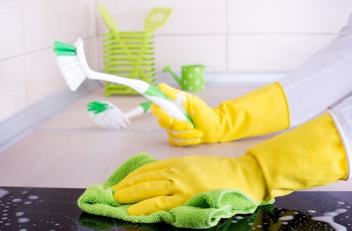 Professional domestic cleaning in a SE23 kitchen and living space