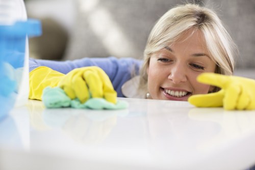 Stain treatment during carpet cleaning SE23 for a living room carpet