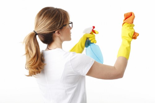 Rug stain treatment and fibre-safe cleaning process