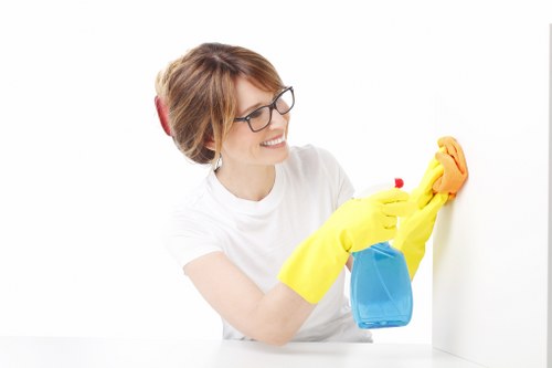 Upholstery cleaning for a family sofa in the SE23 area