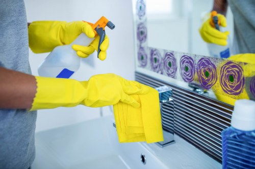 Trusted cleaner preparing a SE23 home for regular domestic cleaning