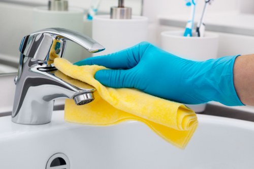 Deep cleaning and regular housekeeping service in SE23