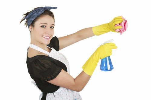 Local carpet cleaner serving SE23 homes offices and rental properties