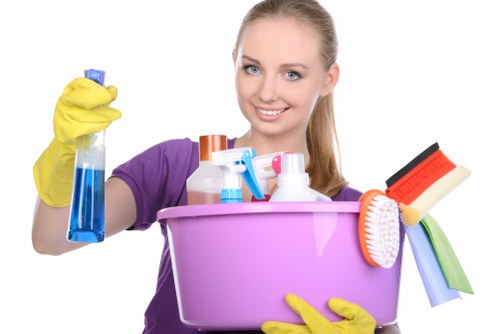 Bathroom deep cleaning details in SE23 property