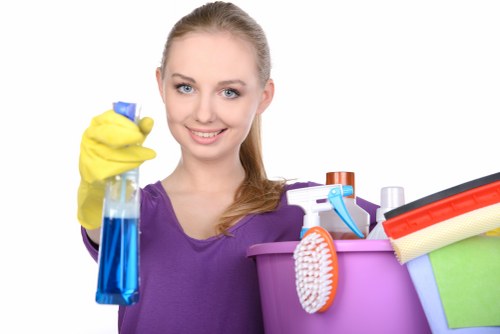 Deep carpet cleaning process for local properties in SE23
