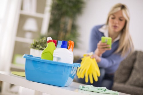 Upholstery cleaning for modern seating in a SE23 property